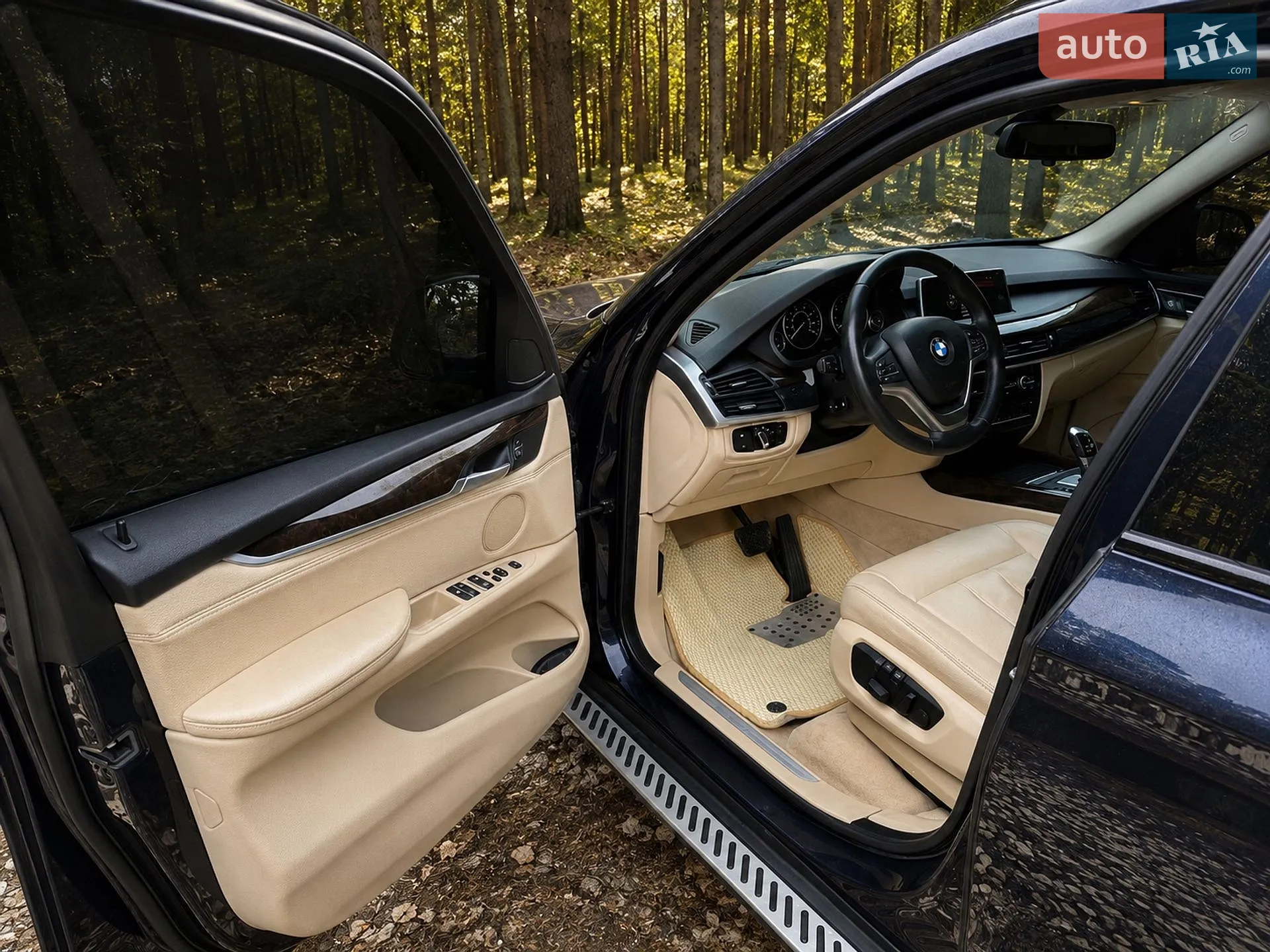2014 BMW X5 - мініатюра 7
