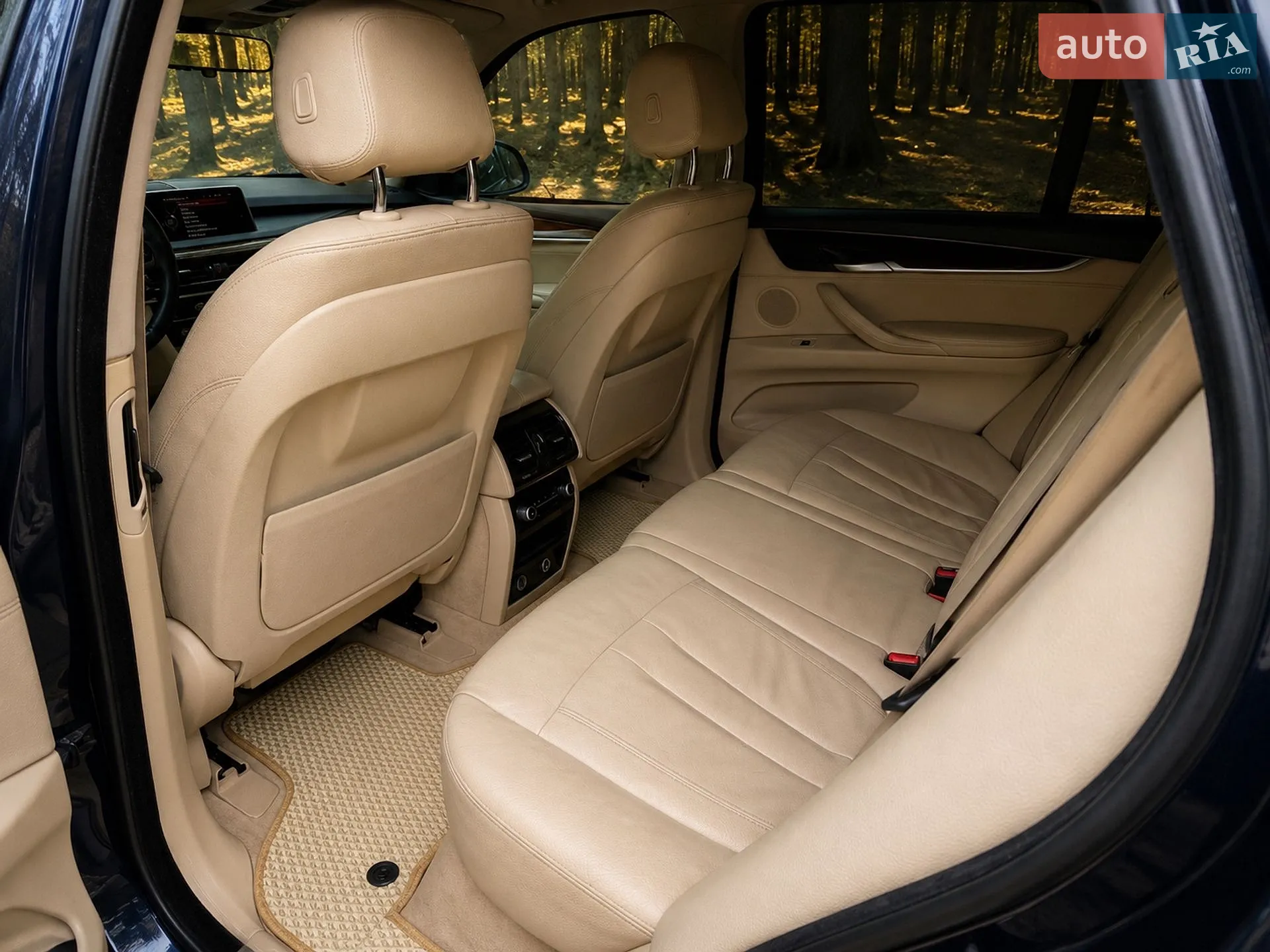 2014 BMW X5 - мініатюра 10