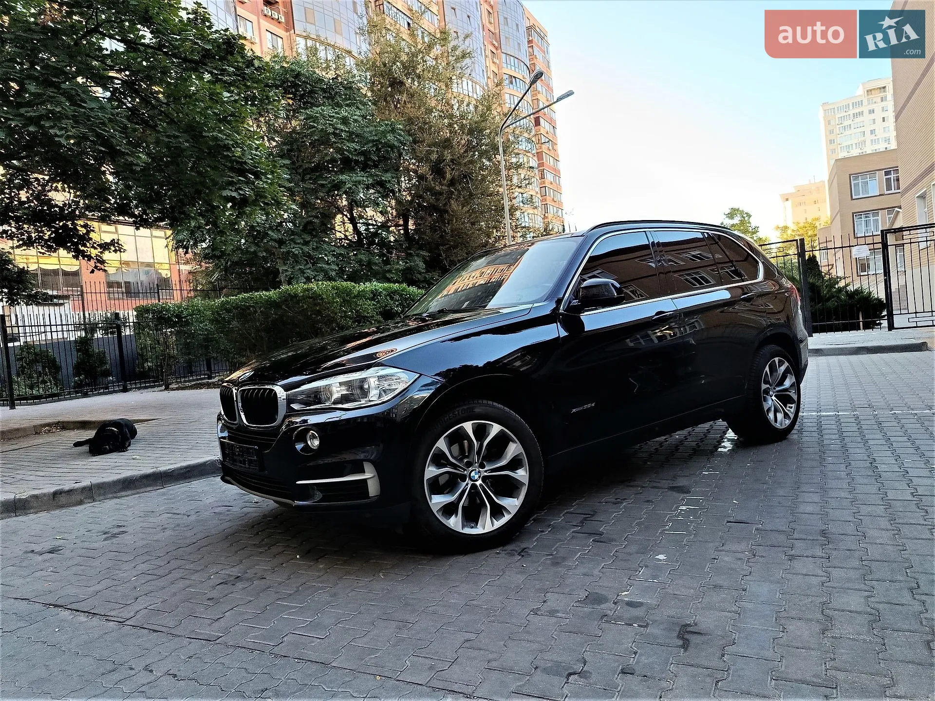 2015 BMW X5 - мініатюра 11