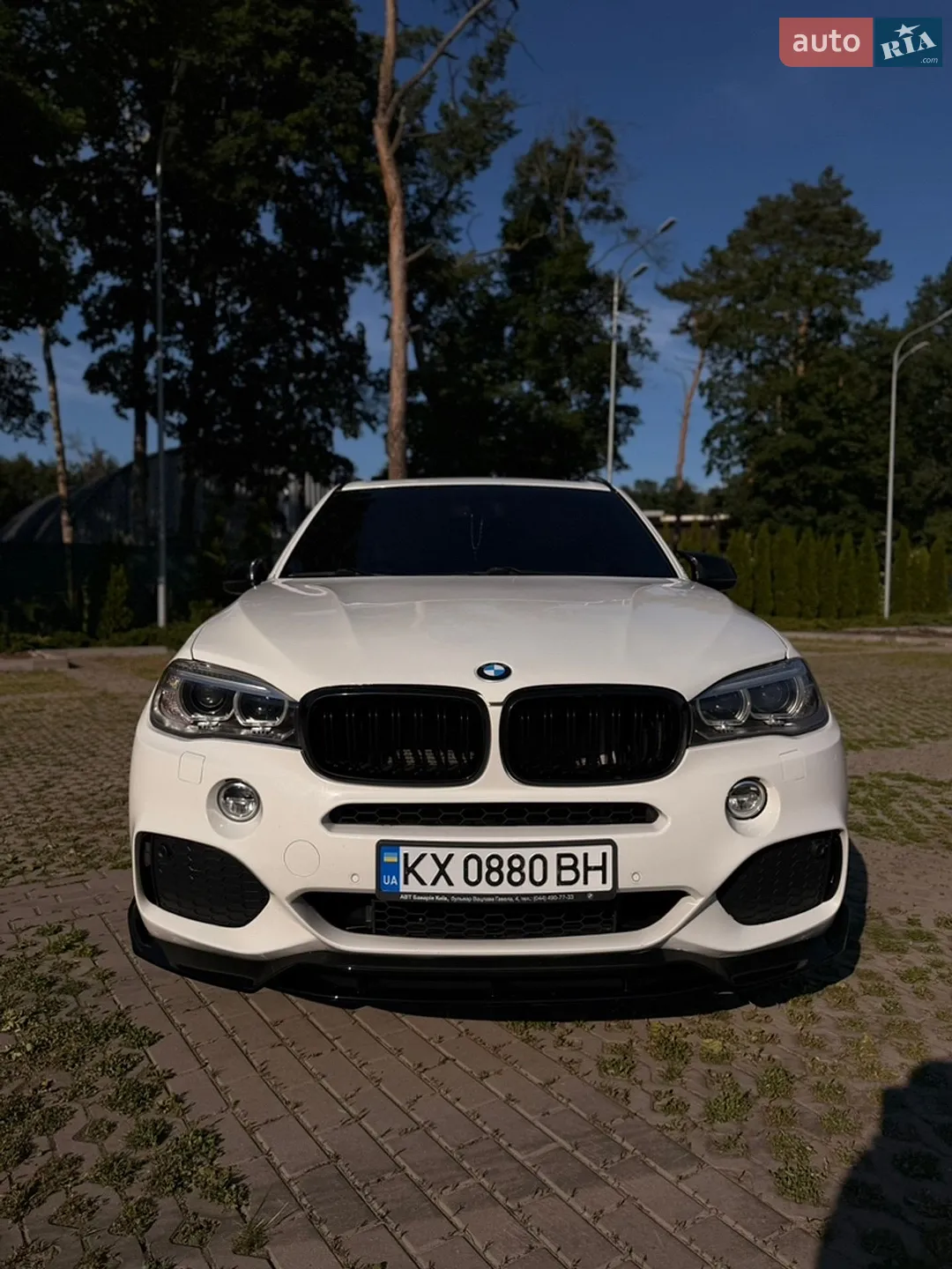 2014 BMW X5 - мініатюра 3