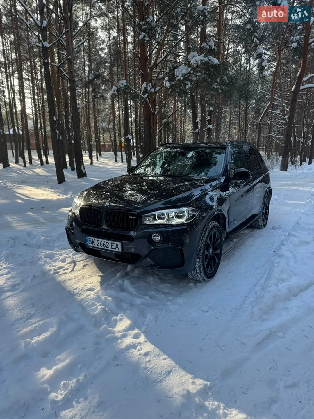2015 BMW X5 - фото 1