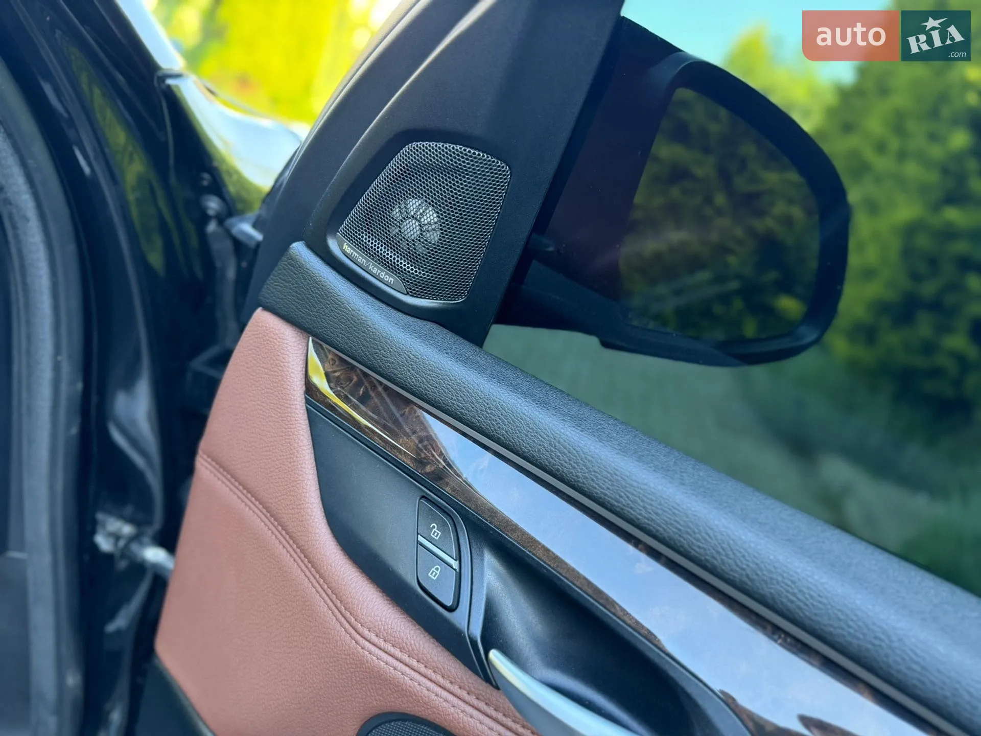 2014 BMW X5 - мініатюра 51