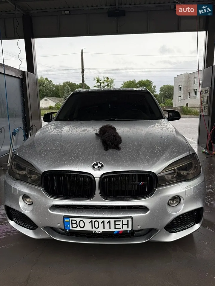 2014 BMW X5 - мініатюра 18