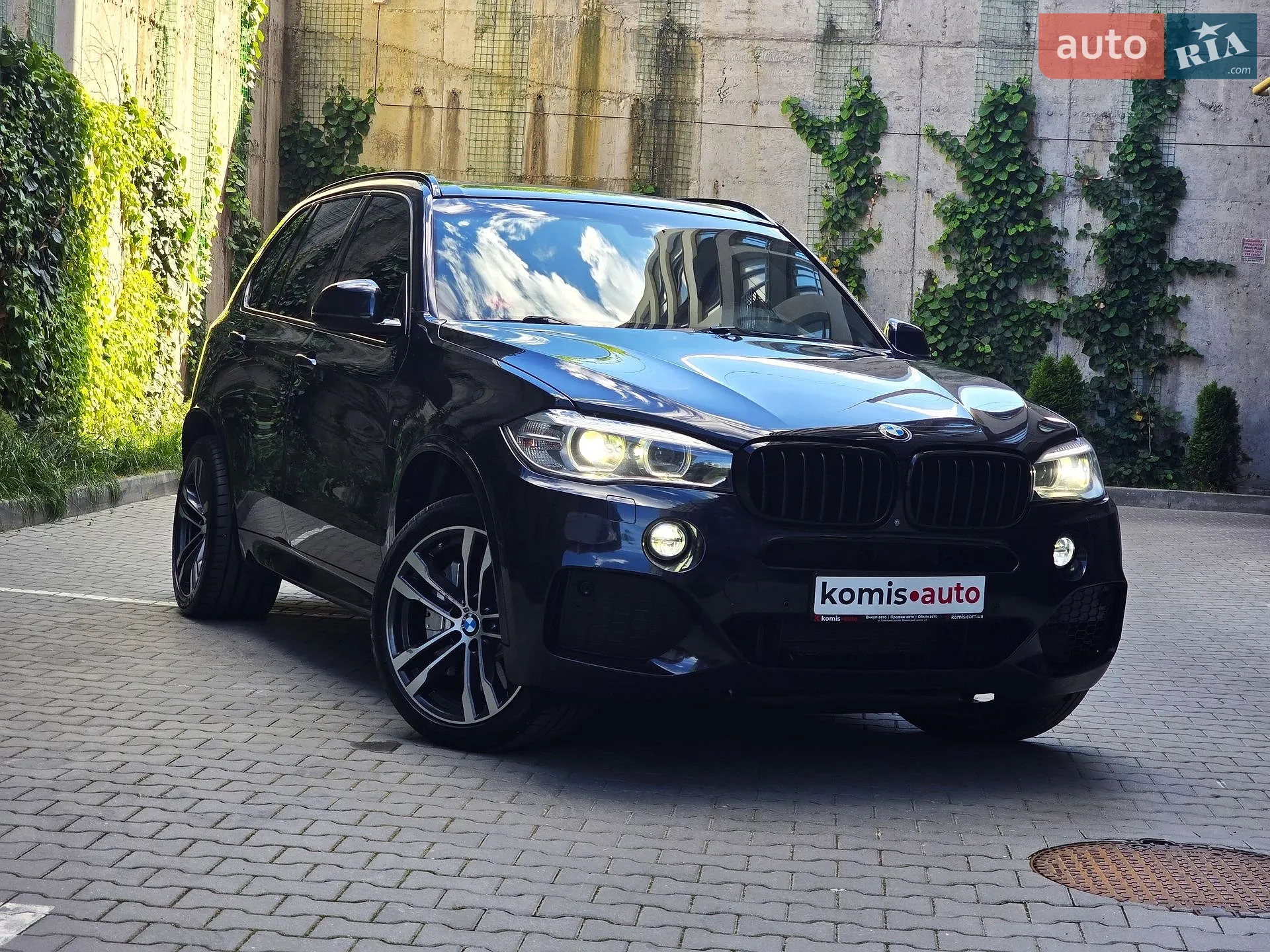 2013 BMW X5 - фото 1