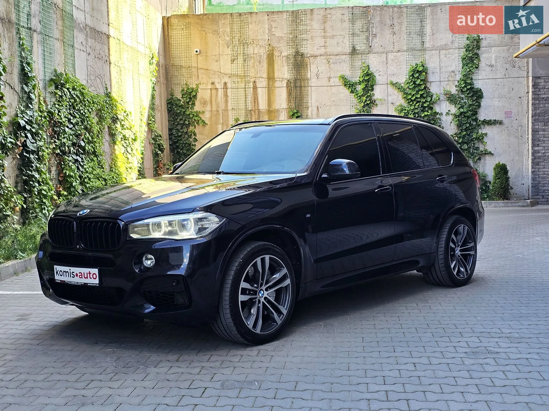 2013 BMW X5 - мініатюра 5