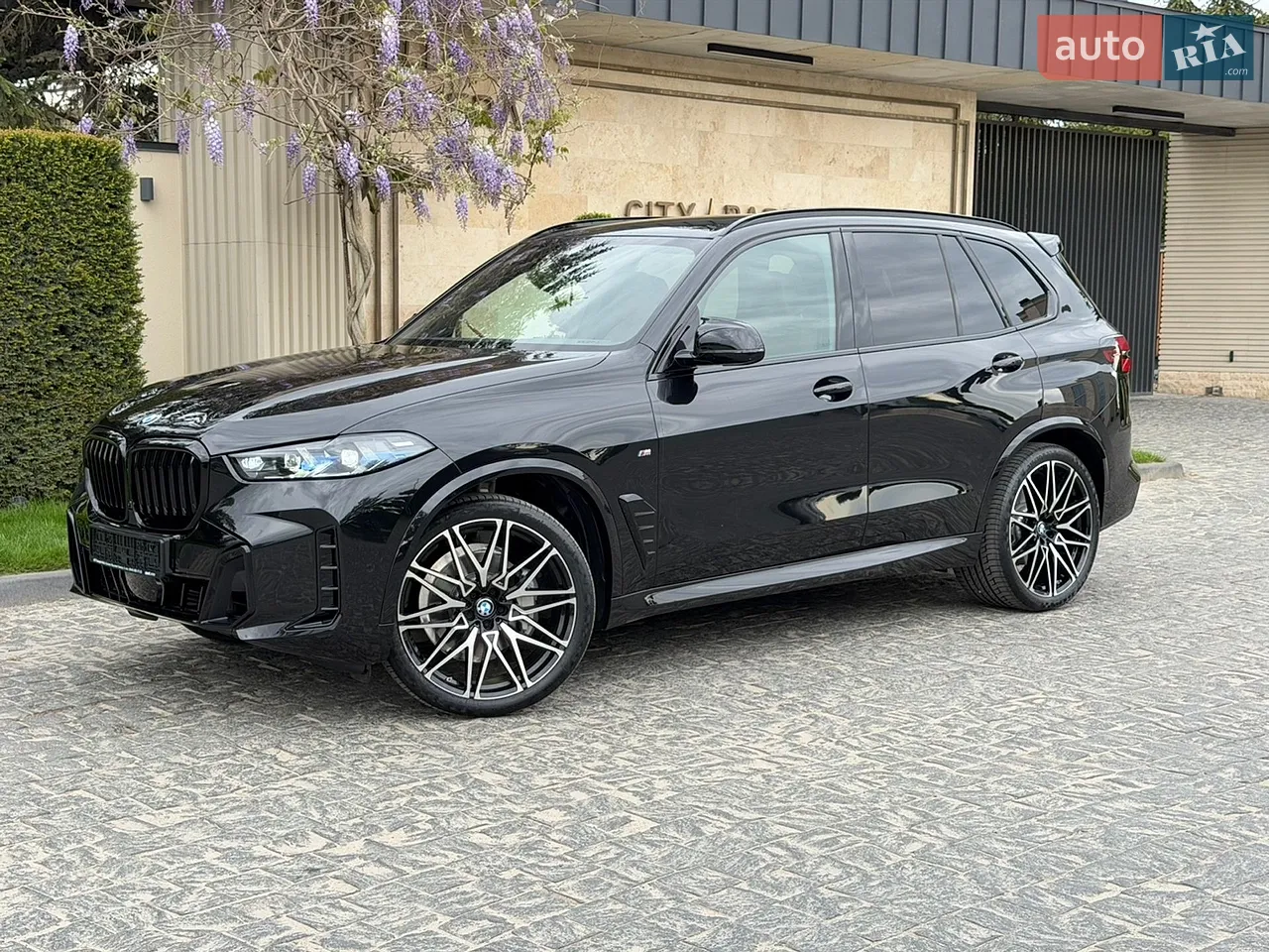 2025 BMW X6 - мініатюра 99
