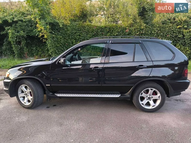 BMW X5 2002 VIN WBAFA71030LN28724 фото оголошення 7 з 46
