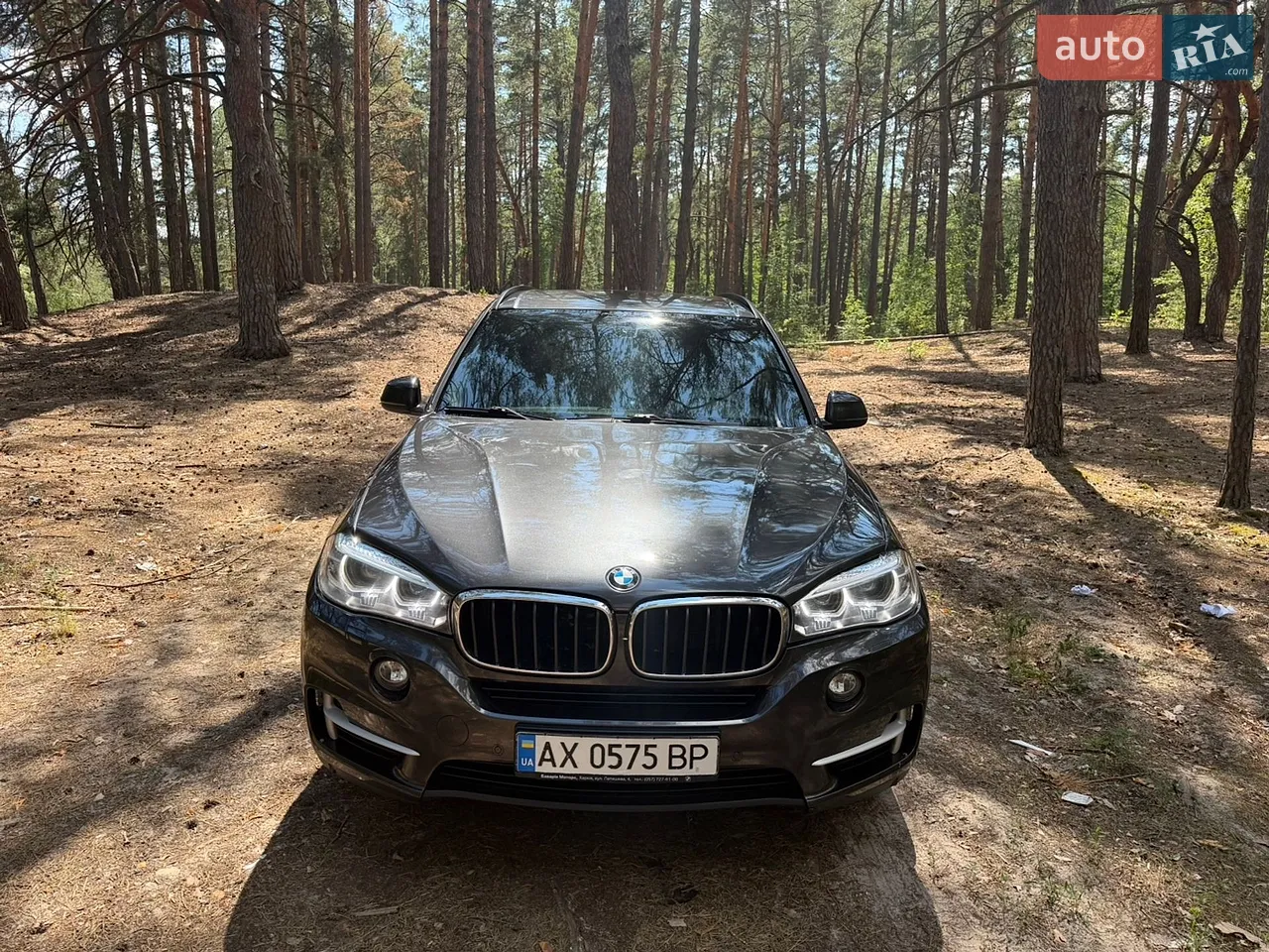2018 BMW X5 - мініатюра 32