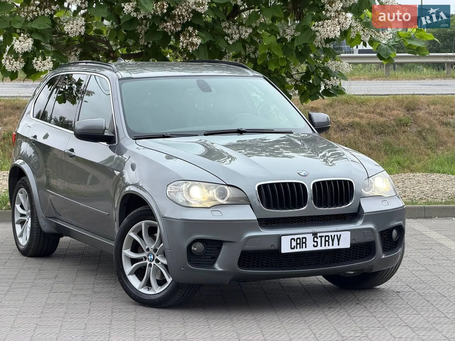 2010 BMW X5 - мініатюра 2