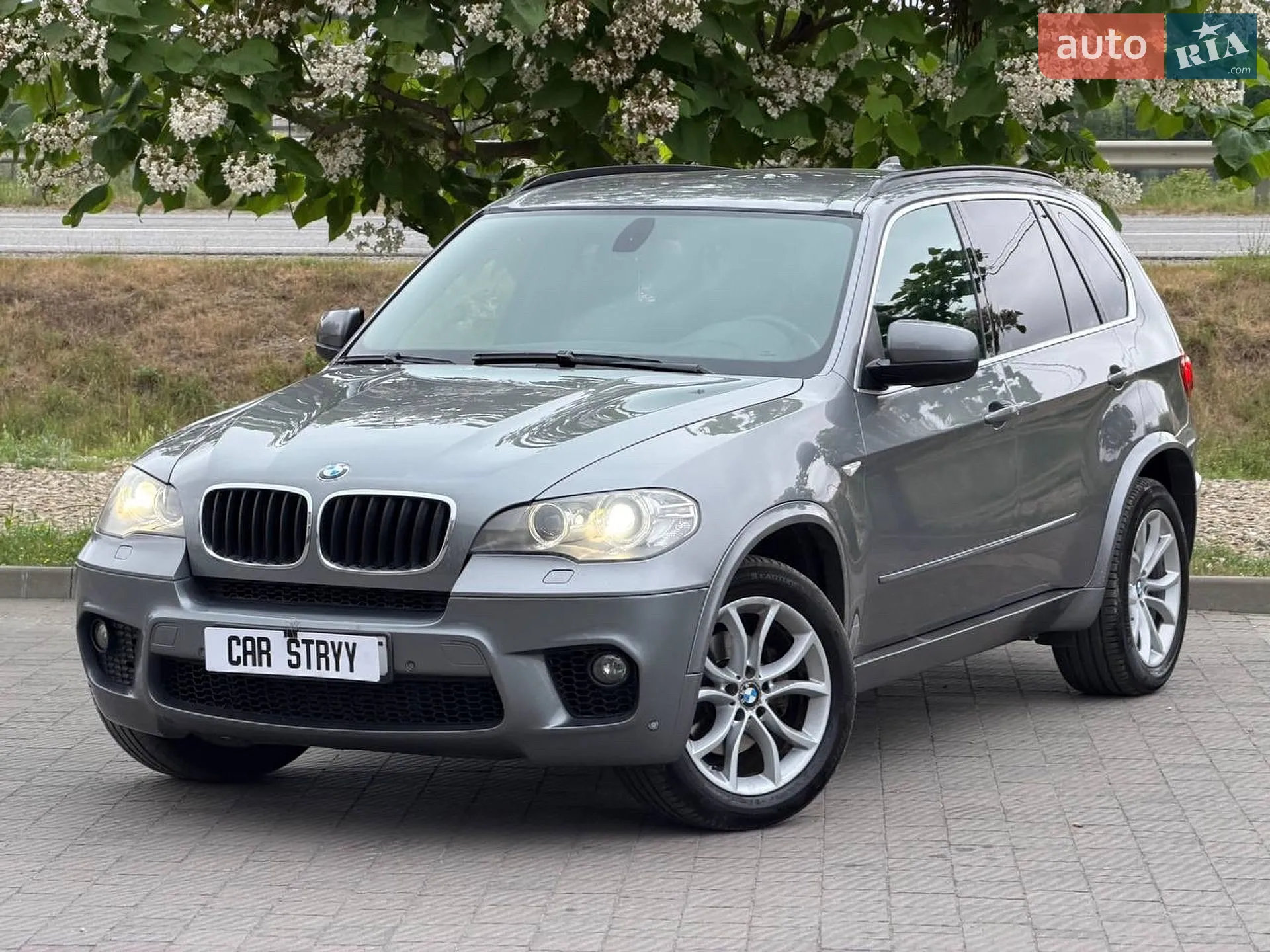 2010 BMW X5 - мініатюра 7