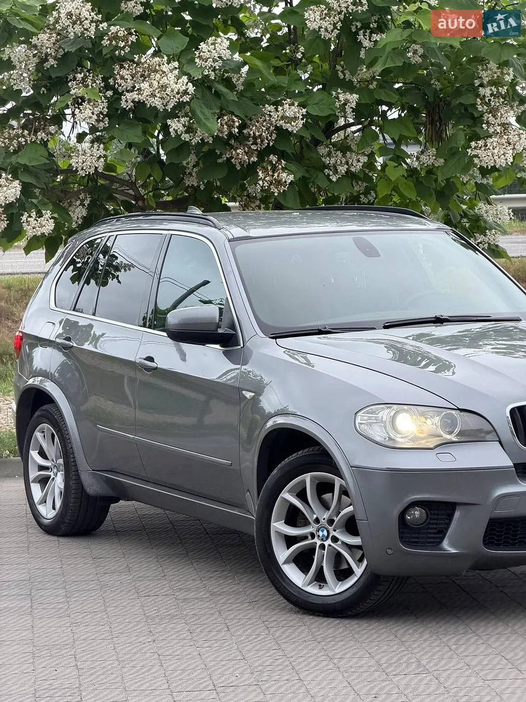 2010 BMW X5 - мініатюра 12