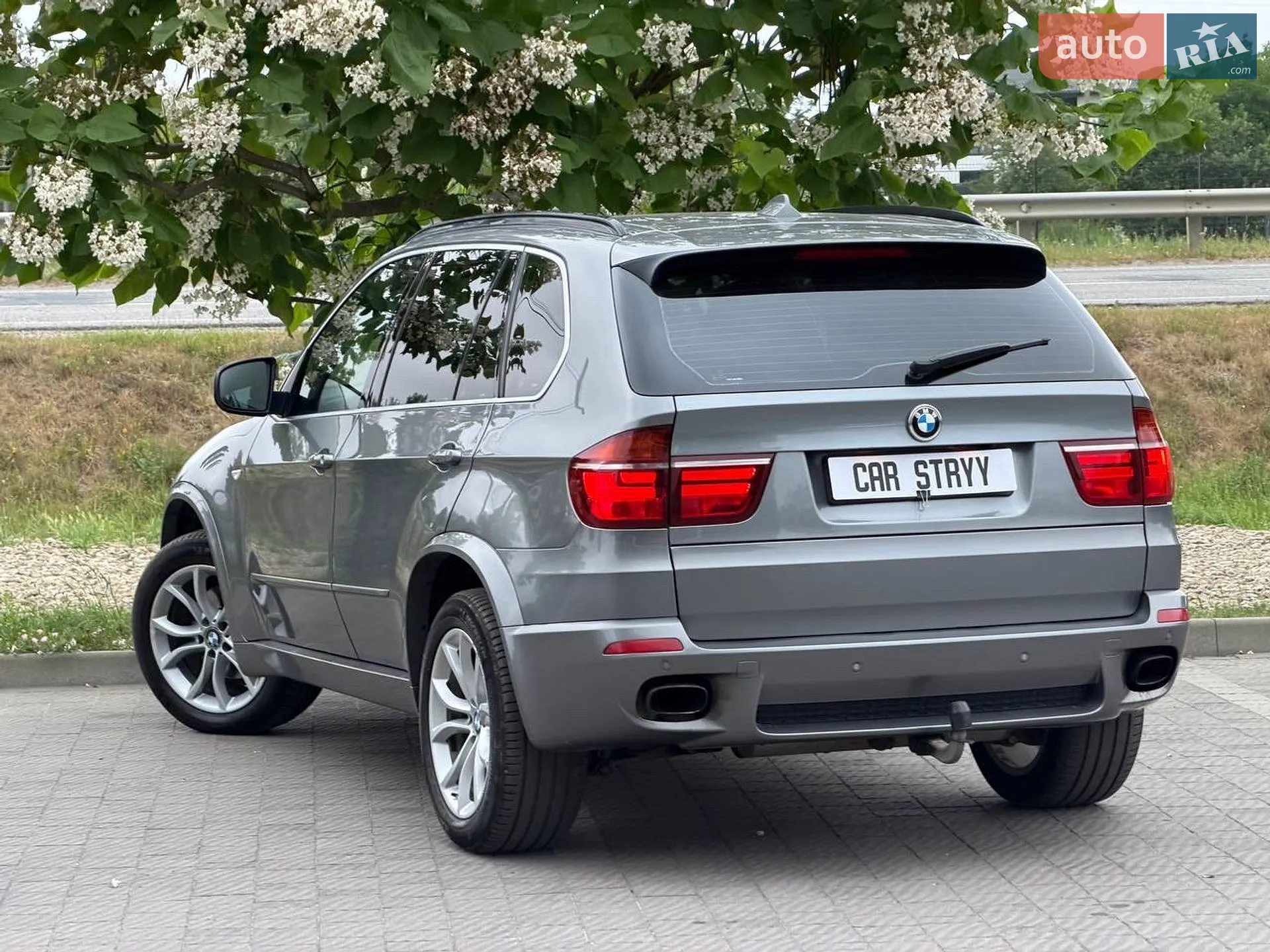 2010 BMW X5 - мініатюра 17