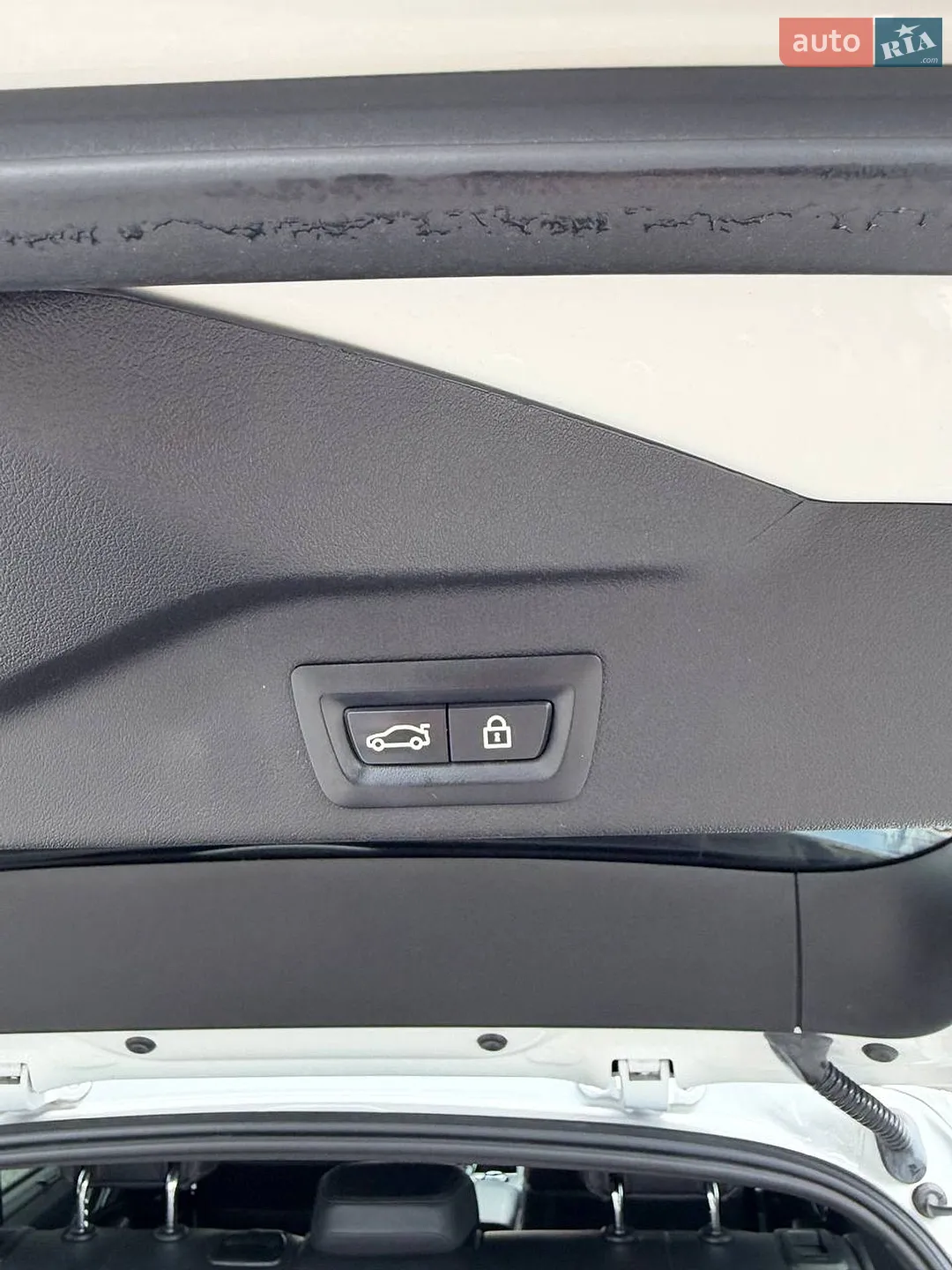 2019 BMW X5 - мініатюра 38