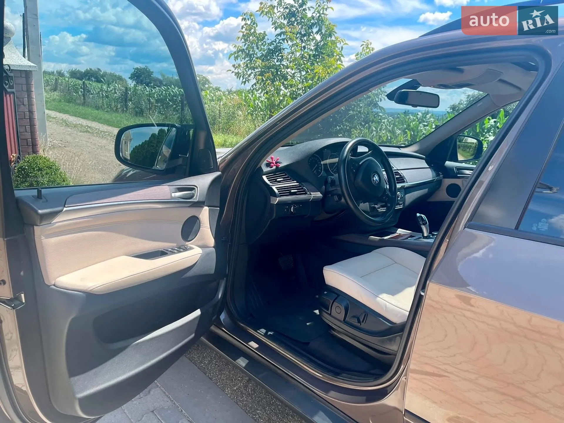 2010 BMW X5 - мініатюра 14
