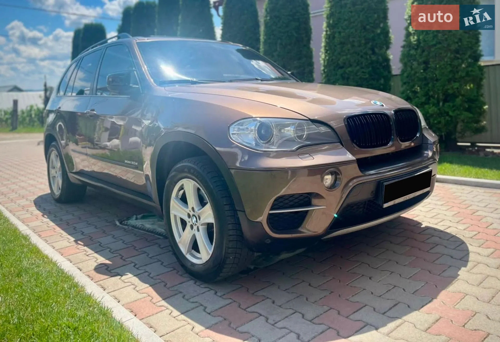 2010 BMW X5 - мініатюра 33