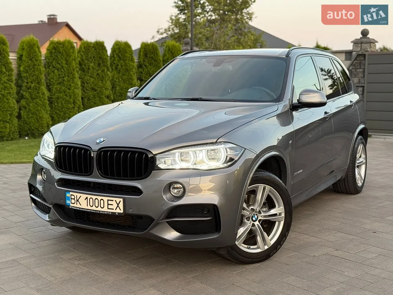 2018 BMW X5 - мініатюра 50