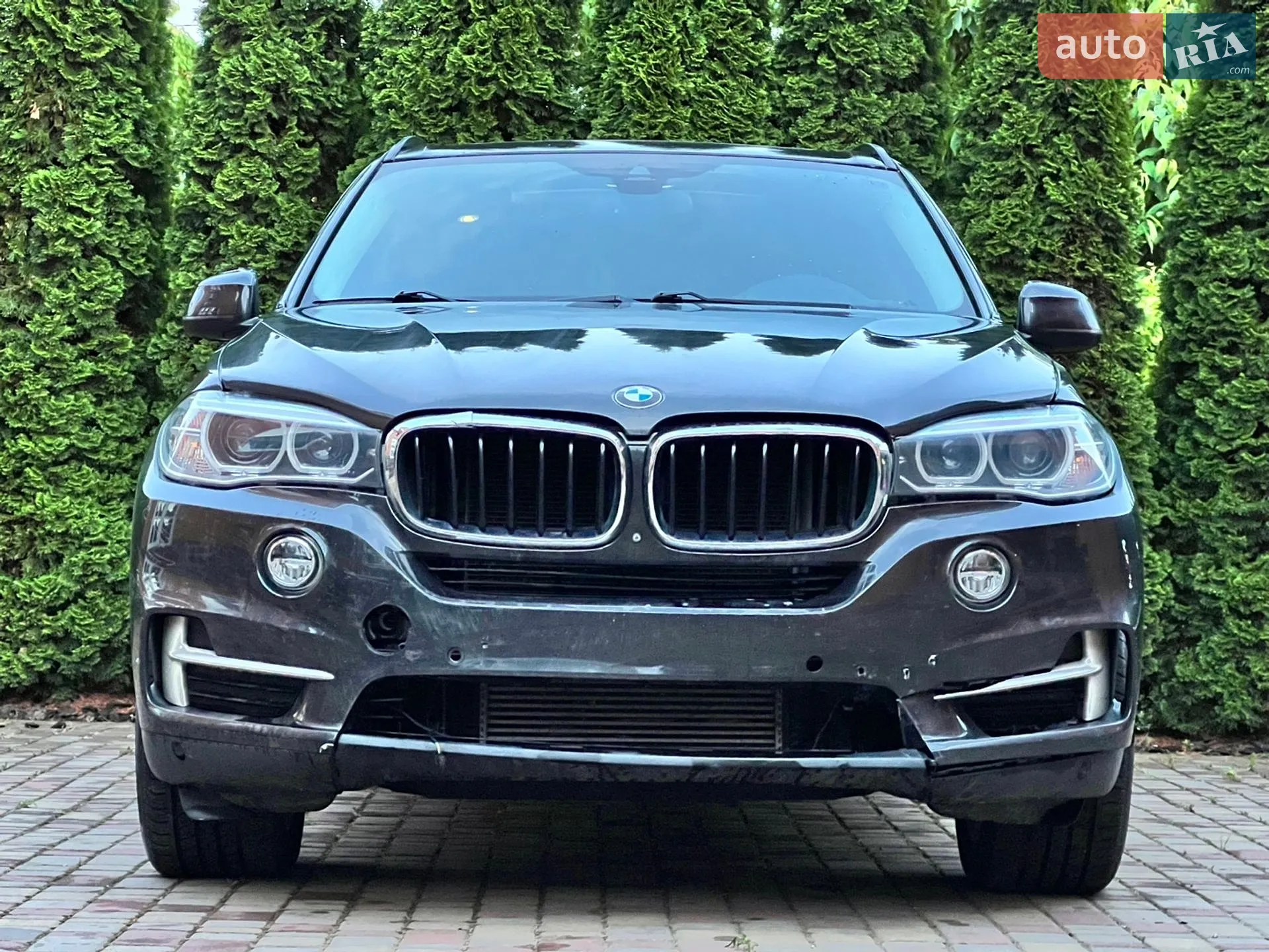 2016 BMW X5 - мініатюра 5