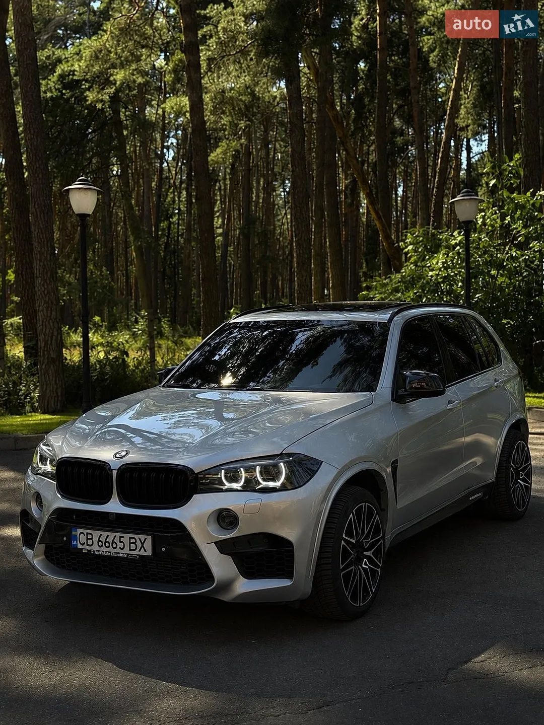2014 BMW X5 - мініатюра 5