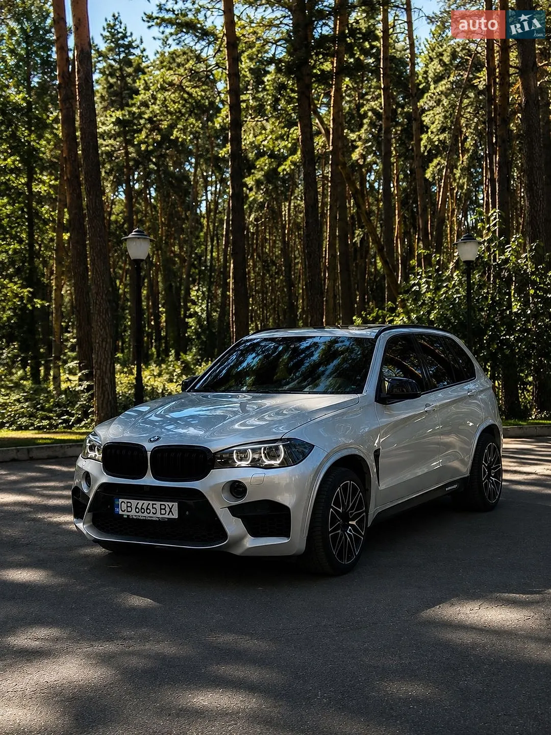 2014 BMW X5 - мініатюра 4