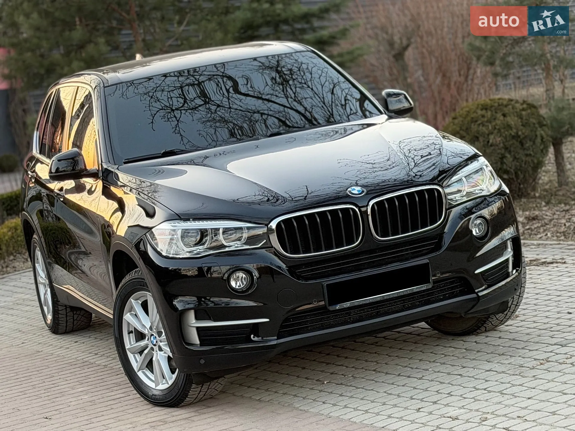 2017 BMW X5 - мініатюра 3