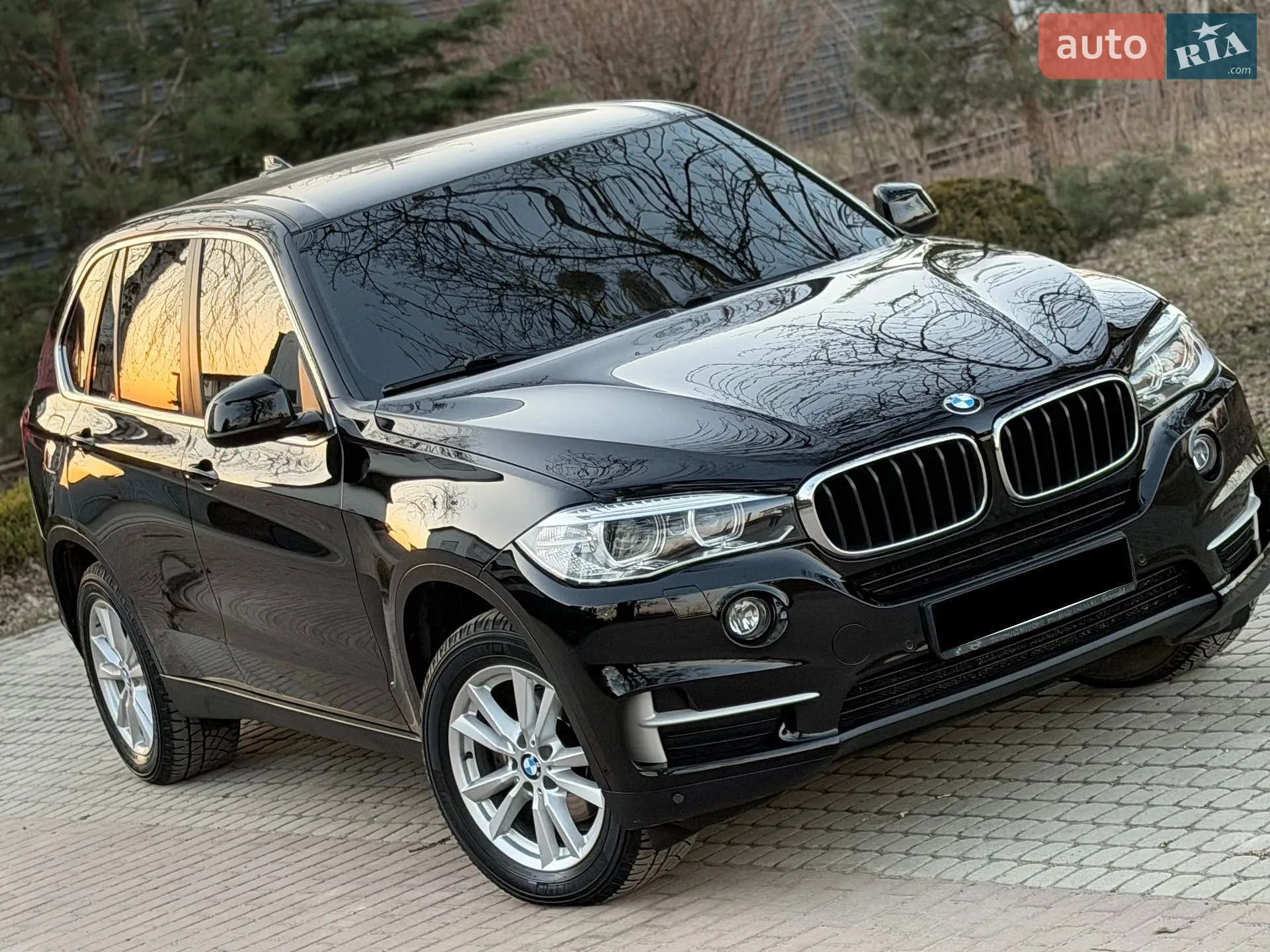 2017 BMW X5 - мініатюра 5