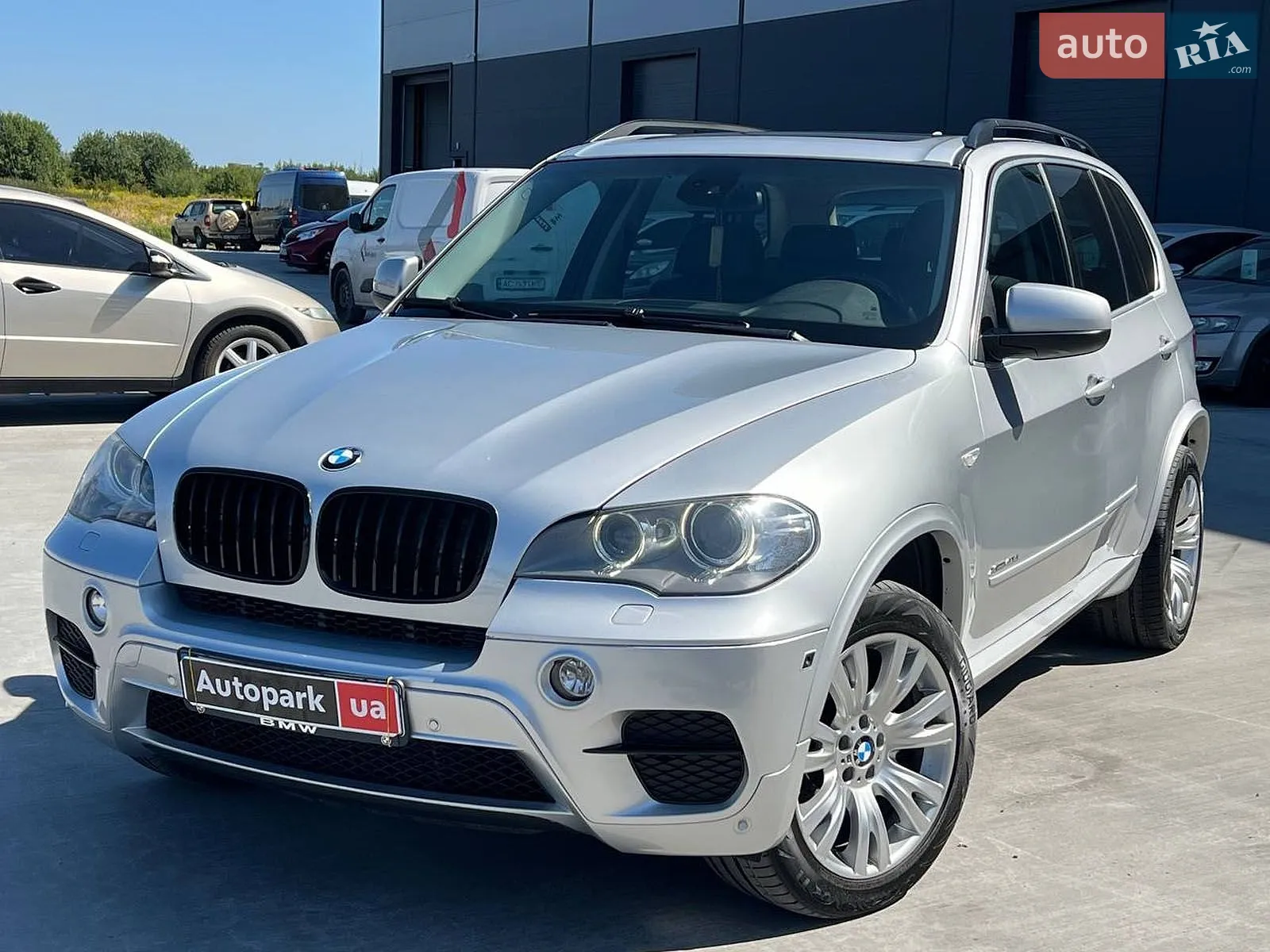 2010 BMW X5 - фото 1