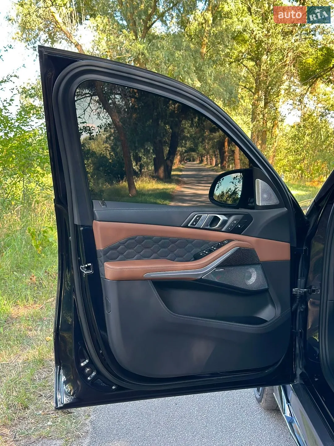 2018 BMW X5 - мініатюра 41