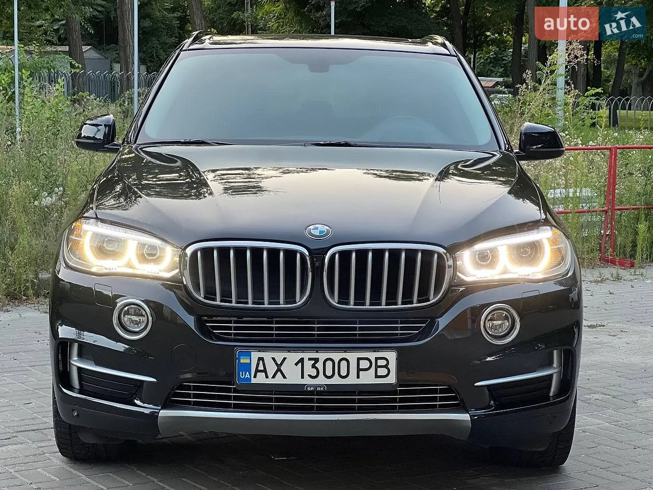2014 BMW X5 - мініатюра 2