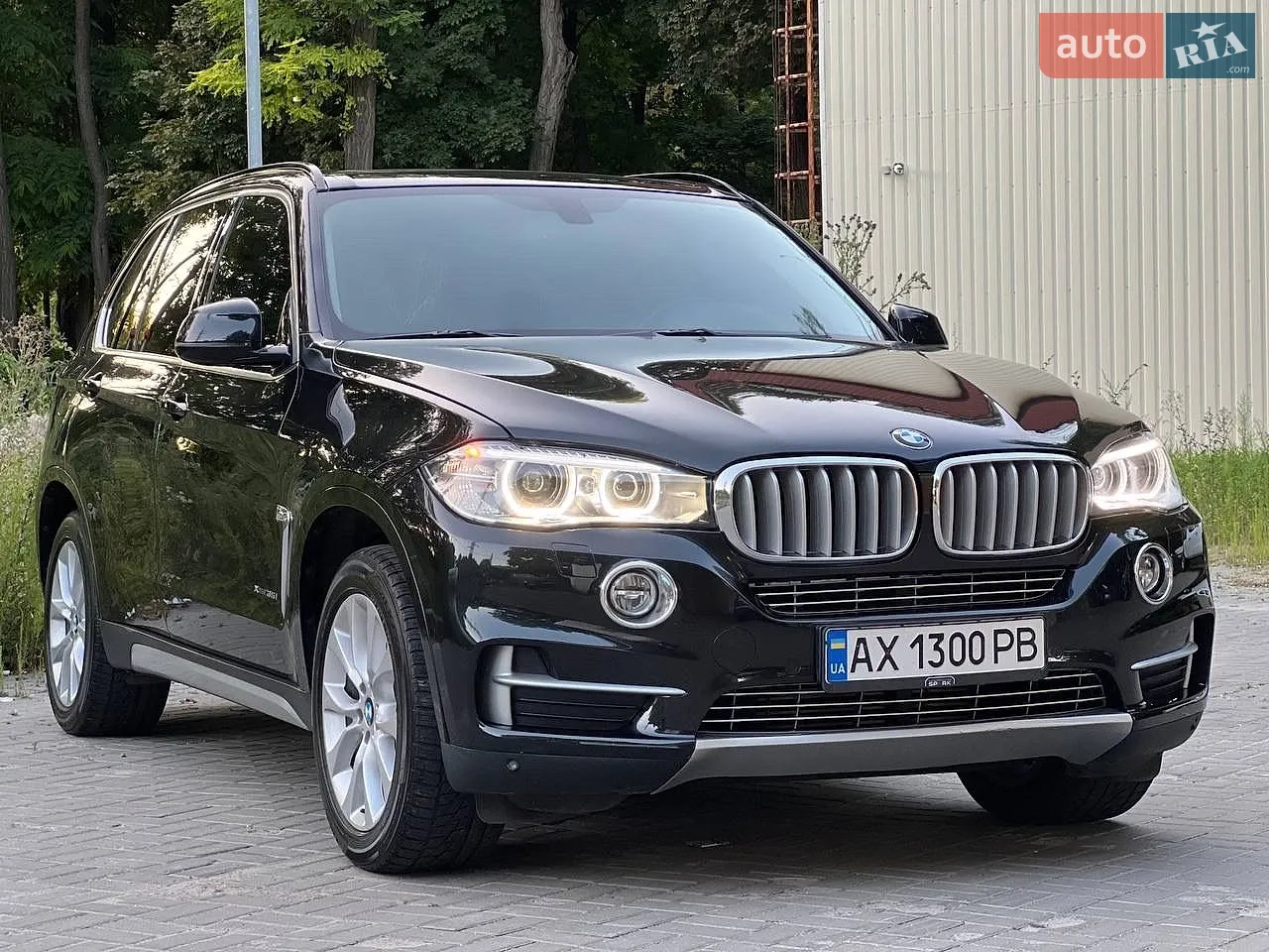 2014 BMW X5 - мініатюра 3