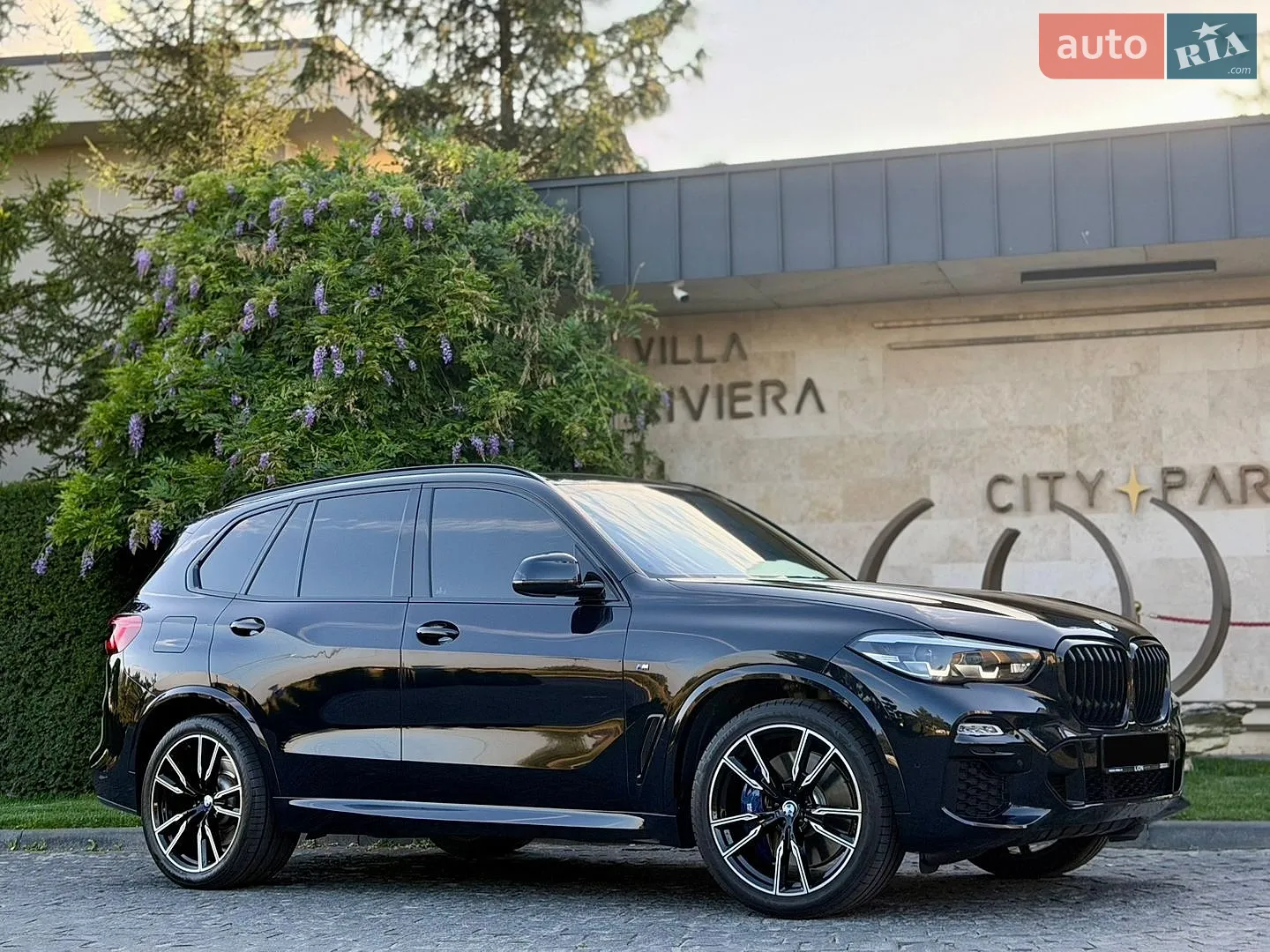 2019 BMW X5 - мініатюра 2