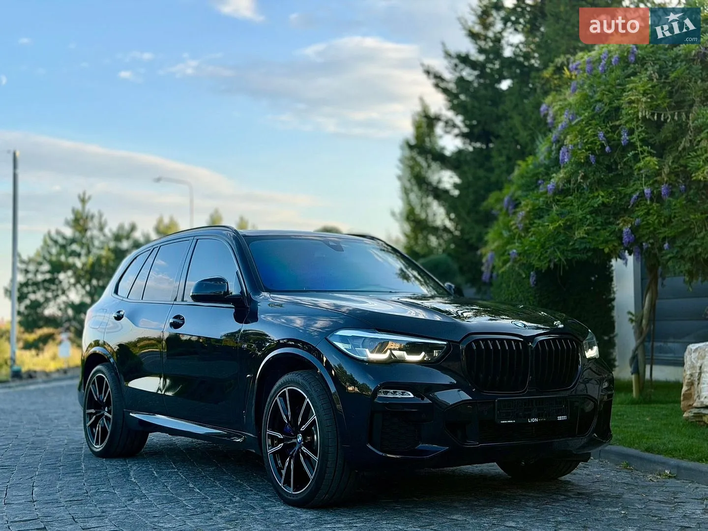 2019 BMW X5 - мініатюра 42