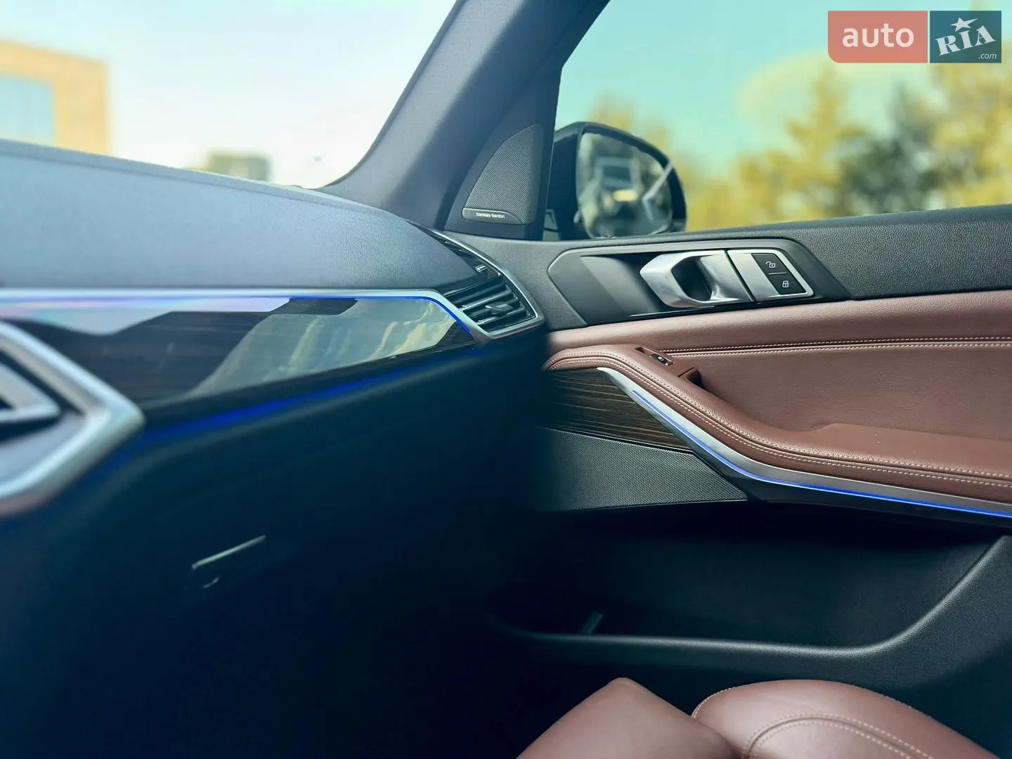 2019 BMW X5 - мініатюра 99