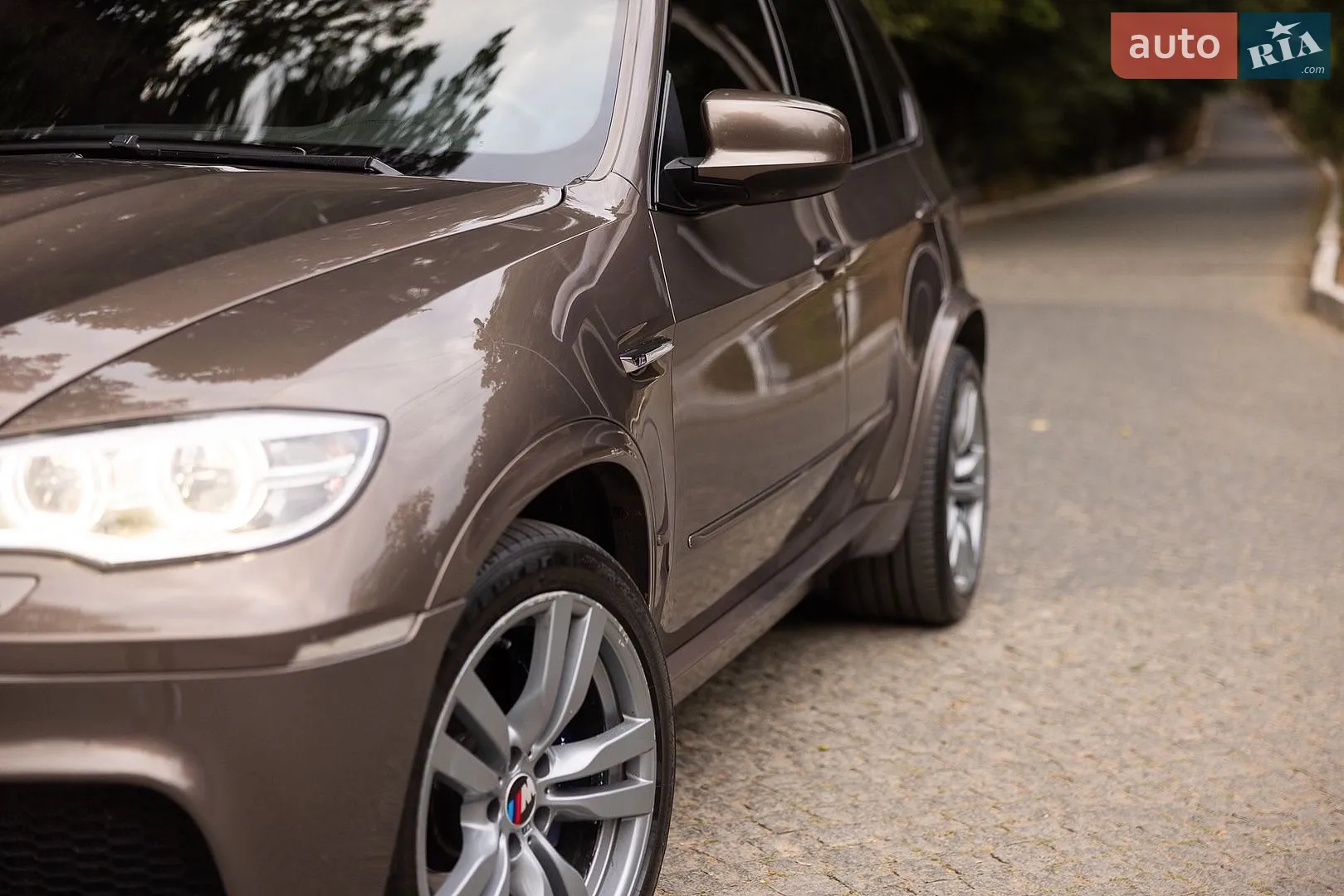 2010 BMW X5 - мініатюра 3