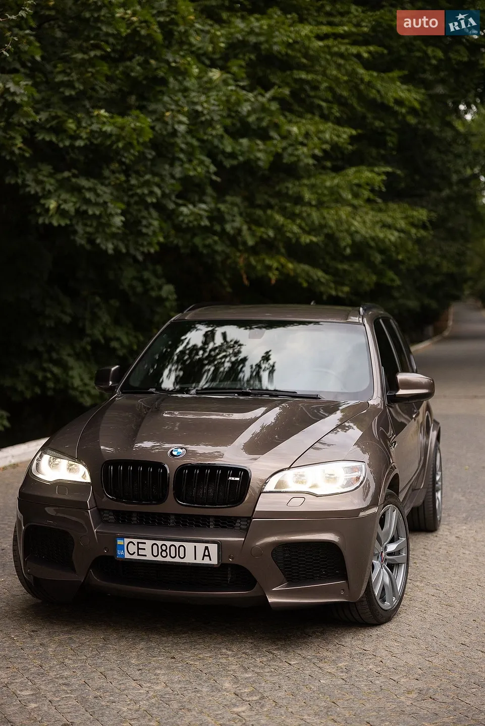 2010 BMW X5 - мініатюра 5