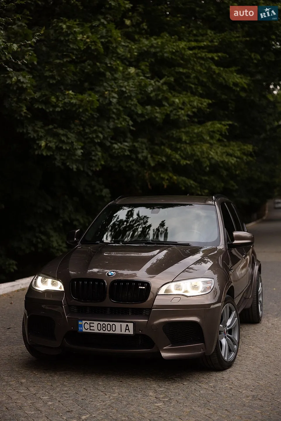 2010 BMW X5 - мініатюра 4