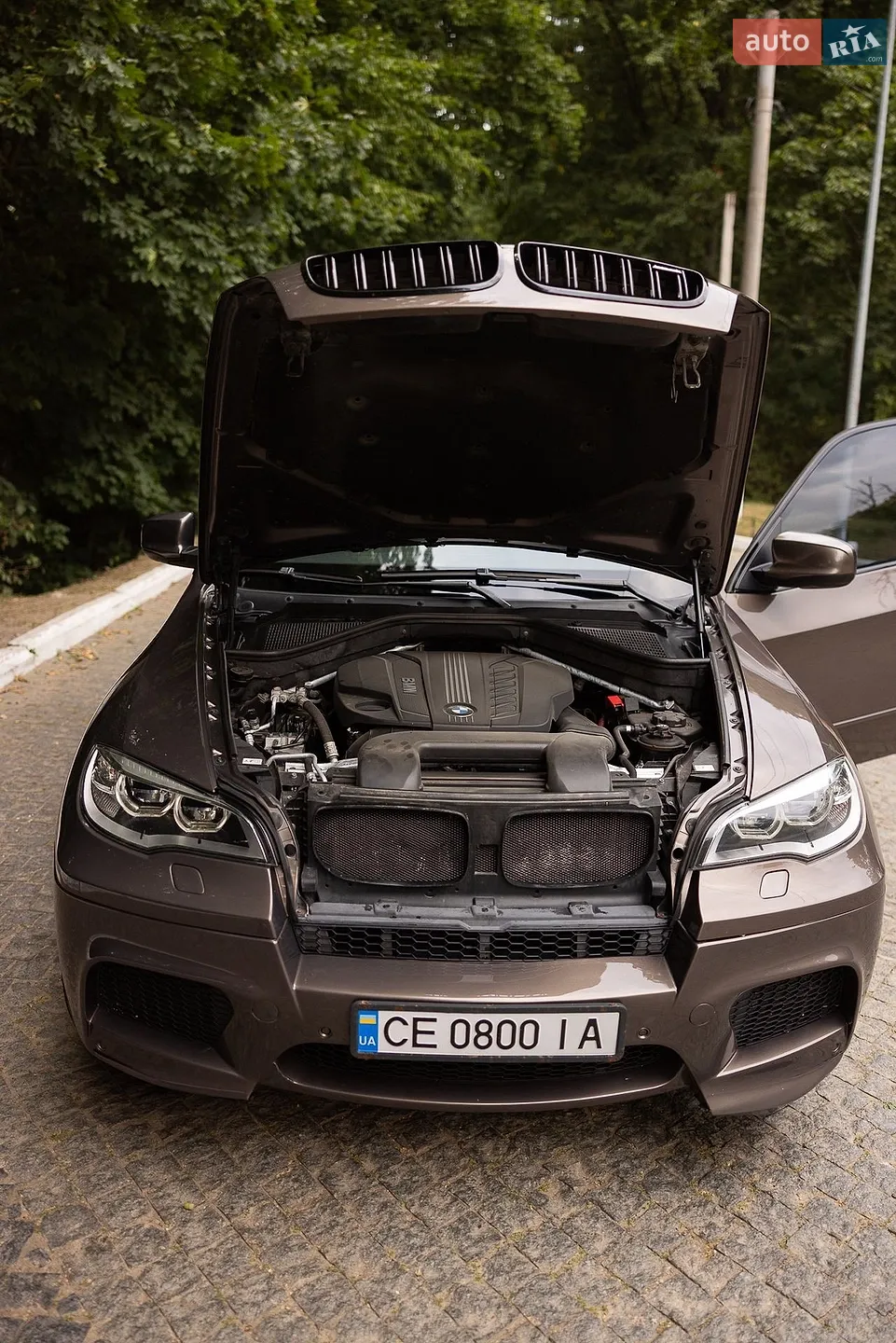 2010 BMW X5 - мініатюра 15