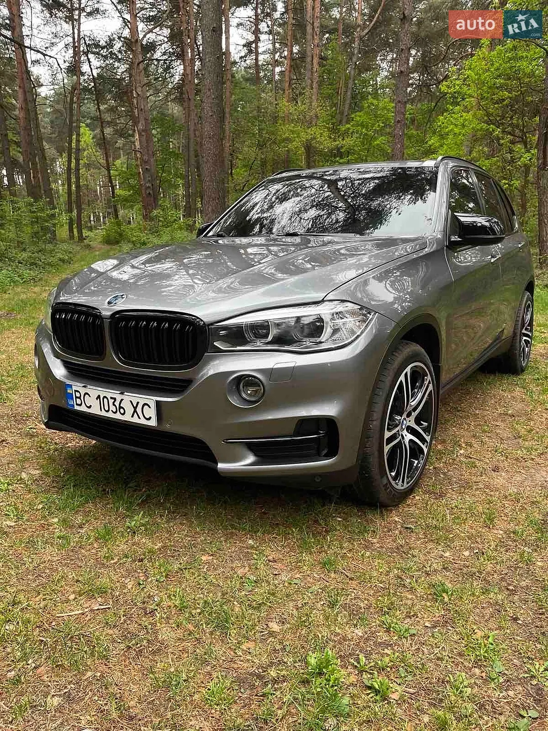 2014 BMW X5 - мініатюра 2