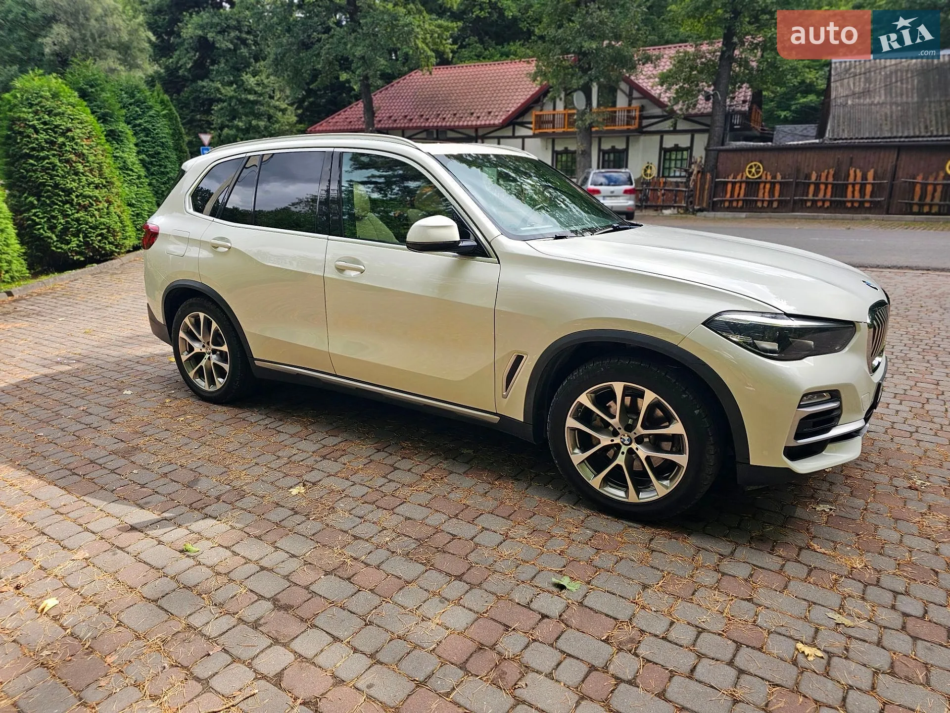 2019 BMW X5 - мініатюра 5