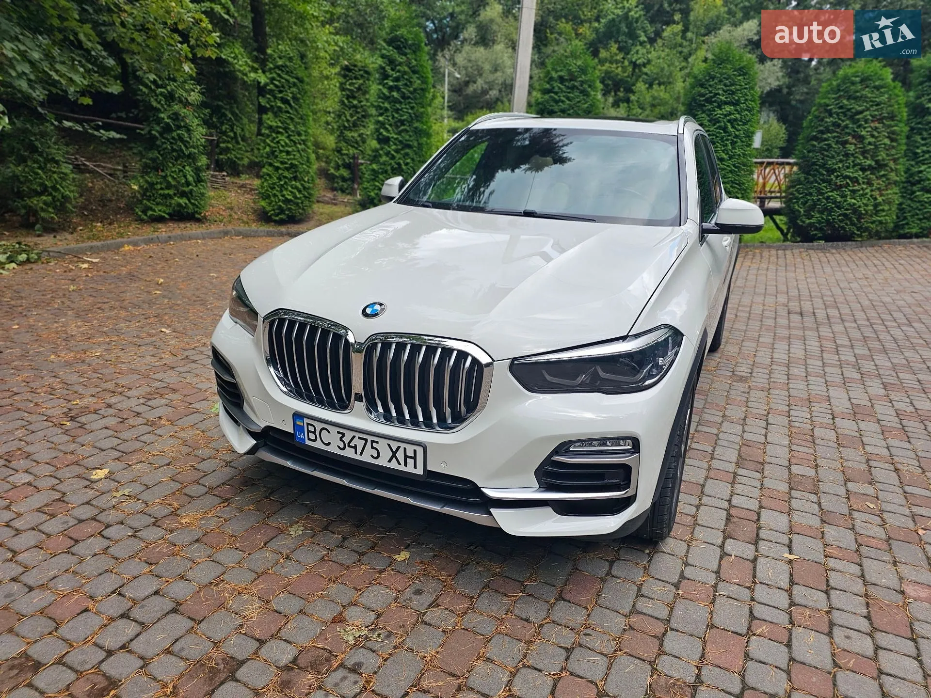 2019 BMW X5 - фото 1