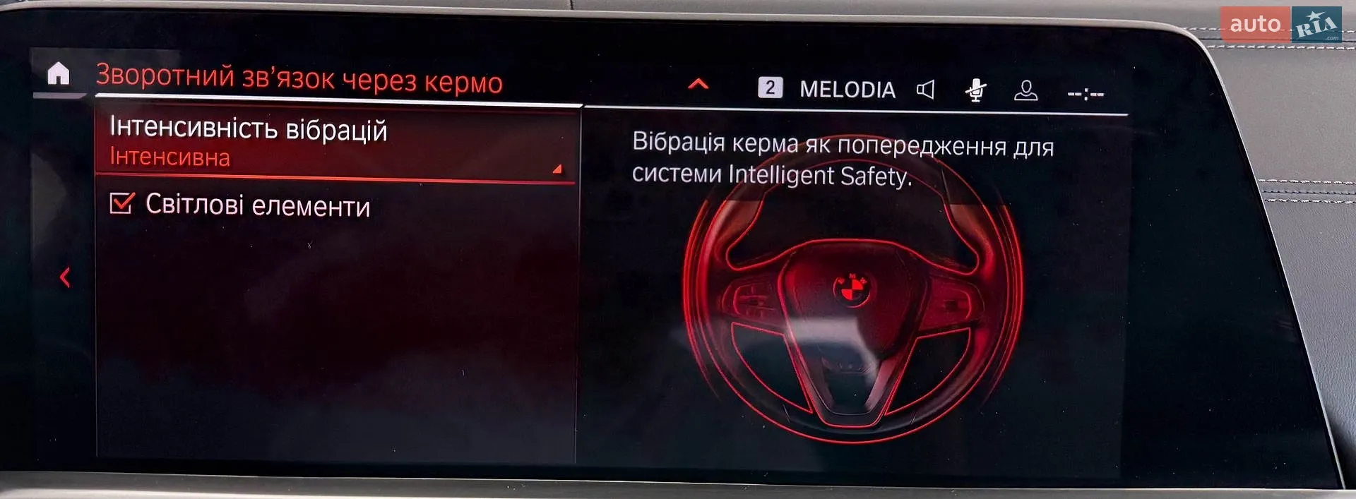 2019 BMW X5 - мініатюра 44