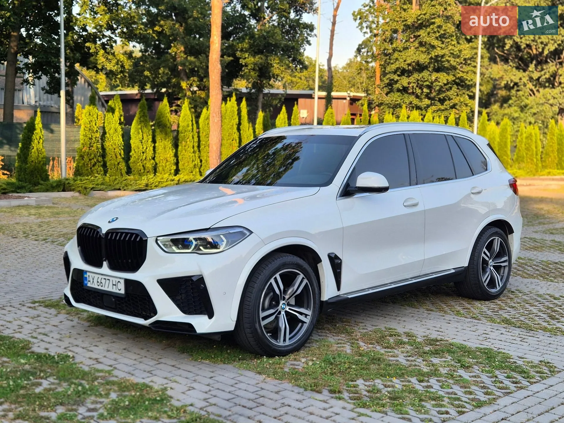 2020 BMW X5 - мініатюра 2