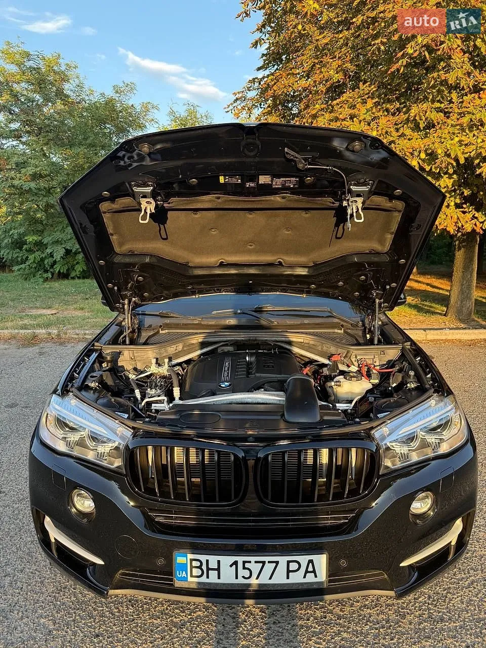 2016 BMW X5 - мініатюра 11