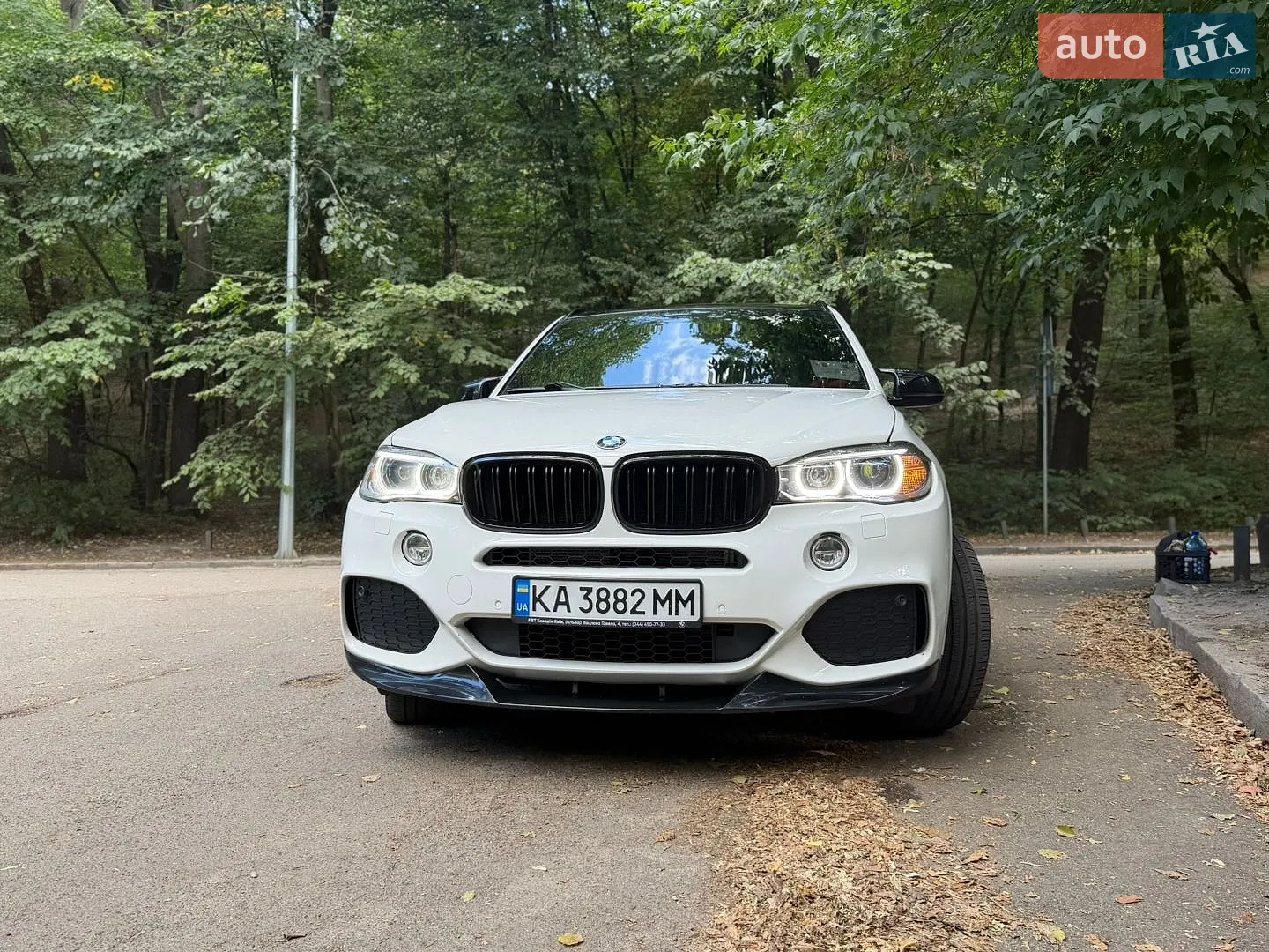 2014 BMW X5 - мініатюра 2