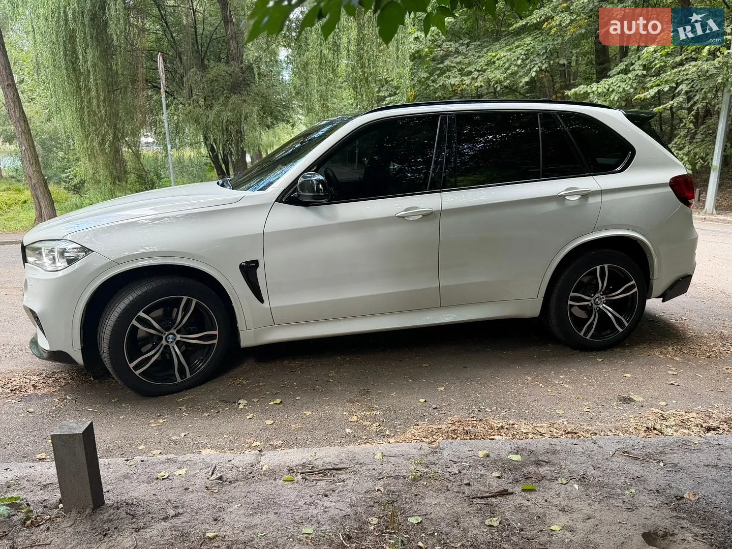 2014 BMW X5 - фото 1