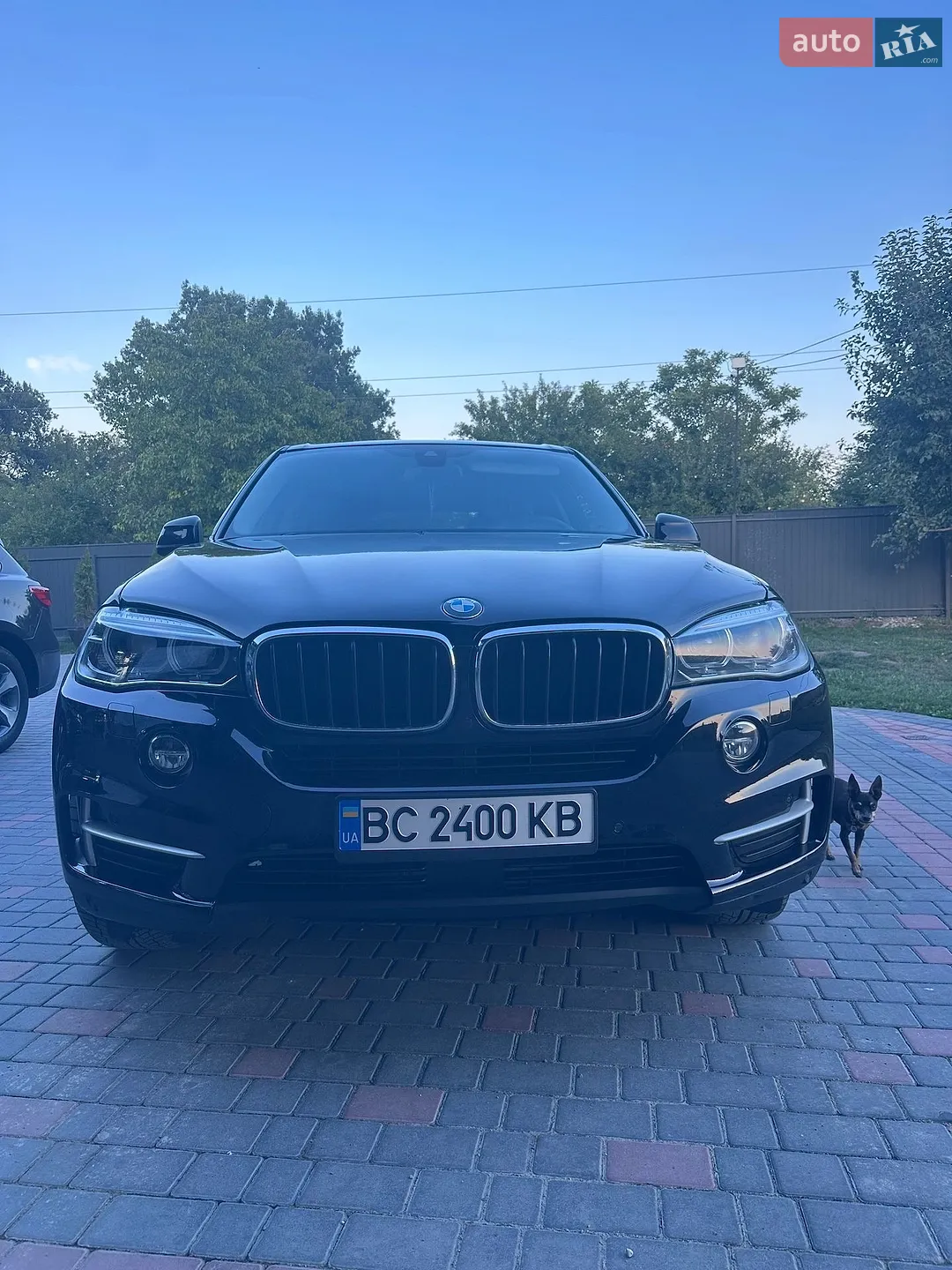 2015 BMW X5 - мініатюра 3