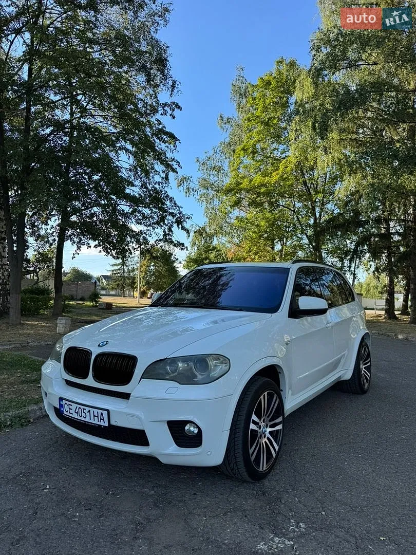 2010 BMW X5 - мініатюра 2