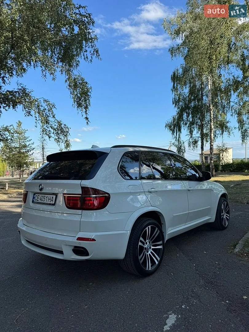 2010 BMW X5 - мініатюра 5