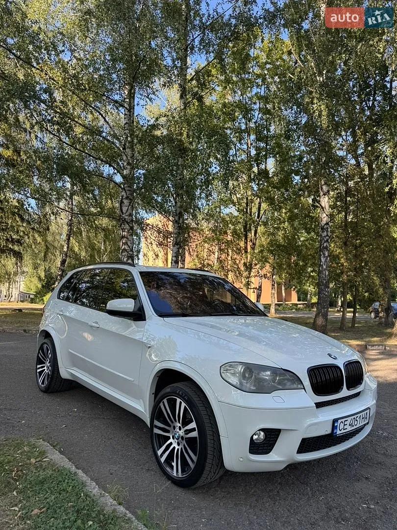 2010 BMW X5 - мініатюра 6