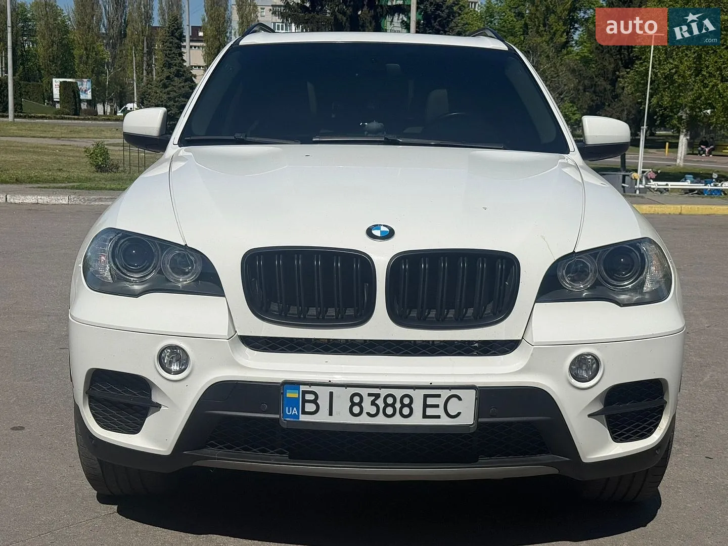 2010 BMW X5 - мініатюра 2