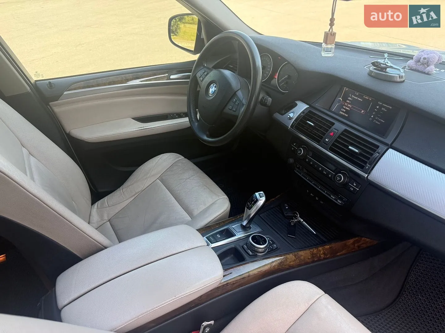 2010 BMW X5 - мініатюра 13